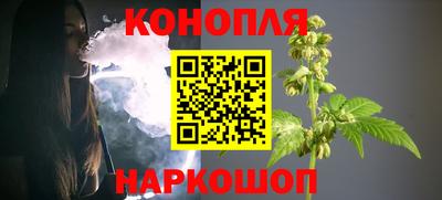 шишки Гусиноозёрск