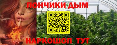 шишки Гусиноозёрск
