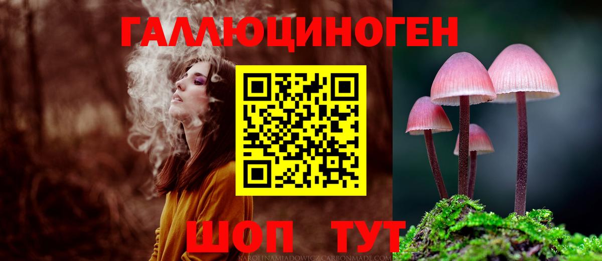 Майский  Псилоцибиновые грибы прущие грибы  Вход с VPN 